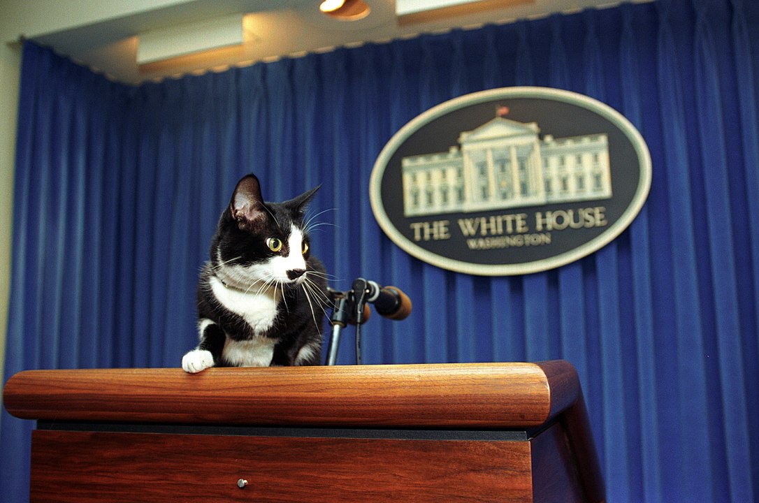 Socks the cat at the Clinton White House 1993