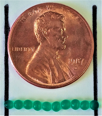 Biogel capsules next to a penny for scale