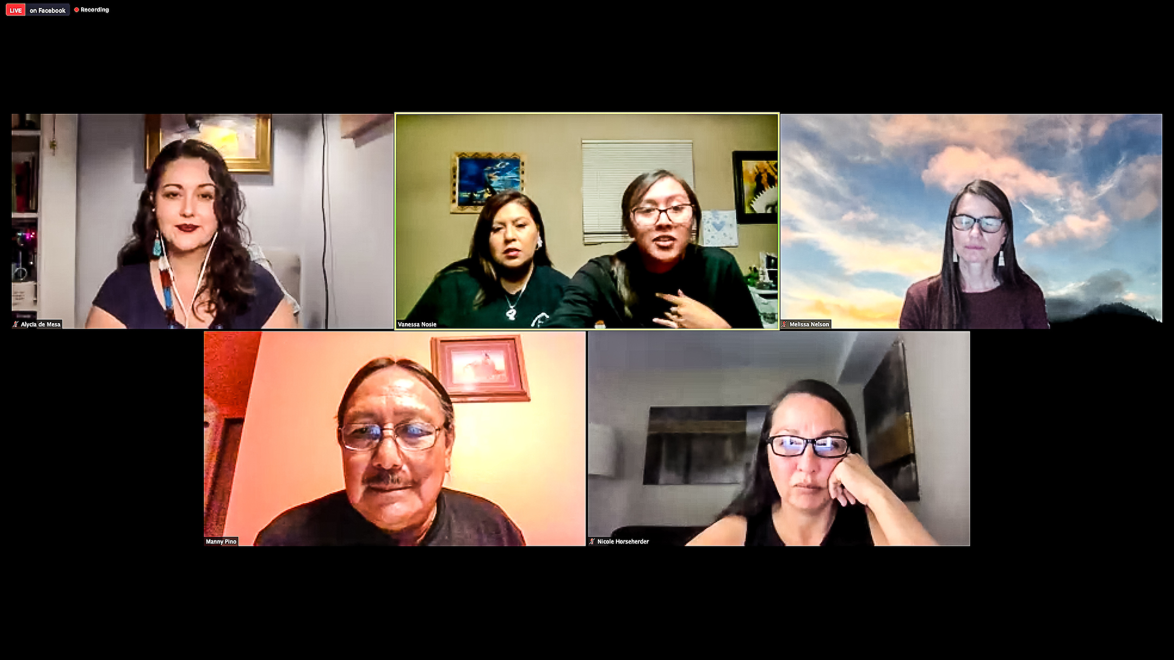 Screenshot of a virtual panel on Native environmental justice