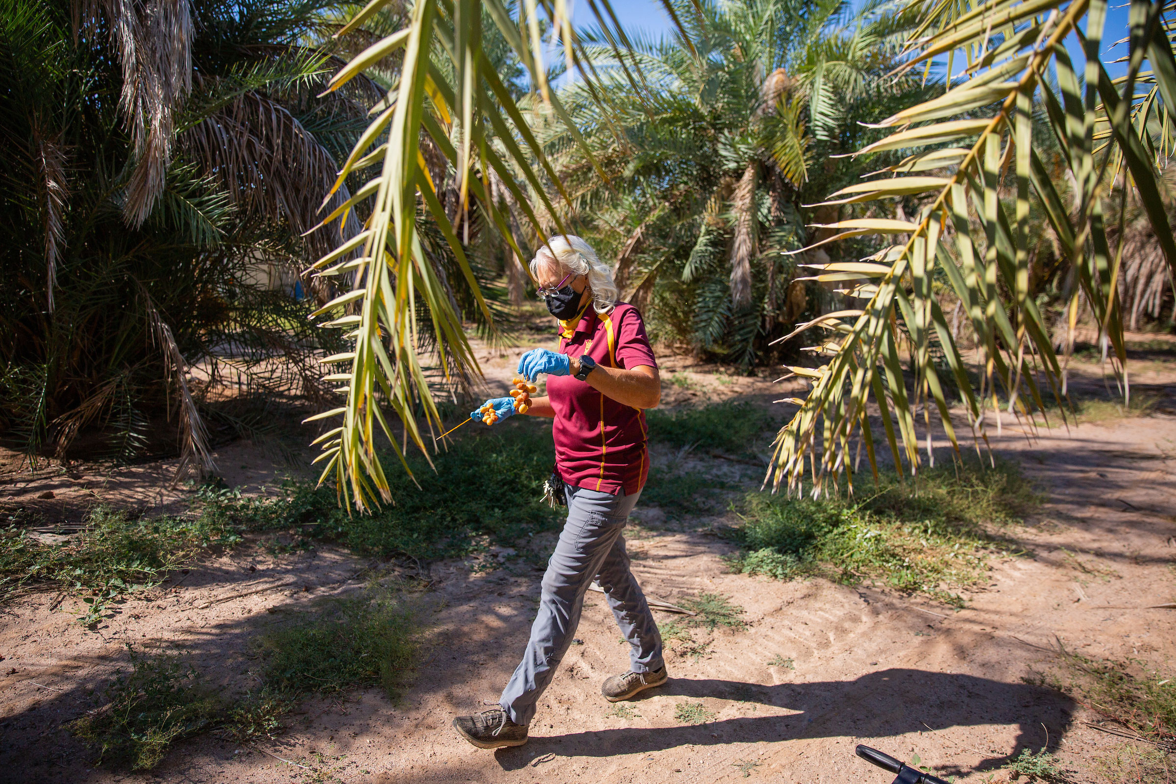 woman walking through date palm grove