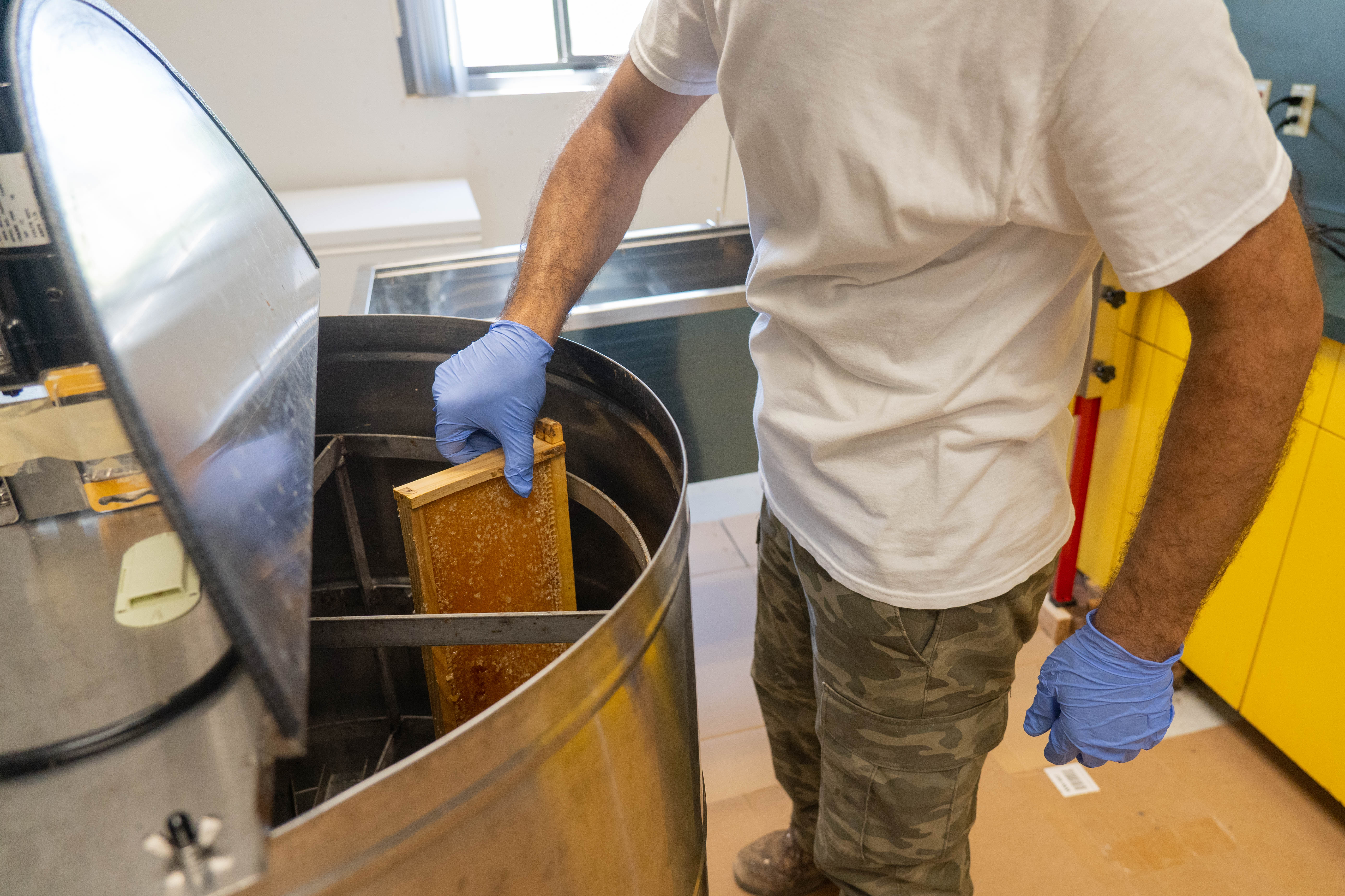 Man puts a beehive frame into a honey extractor