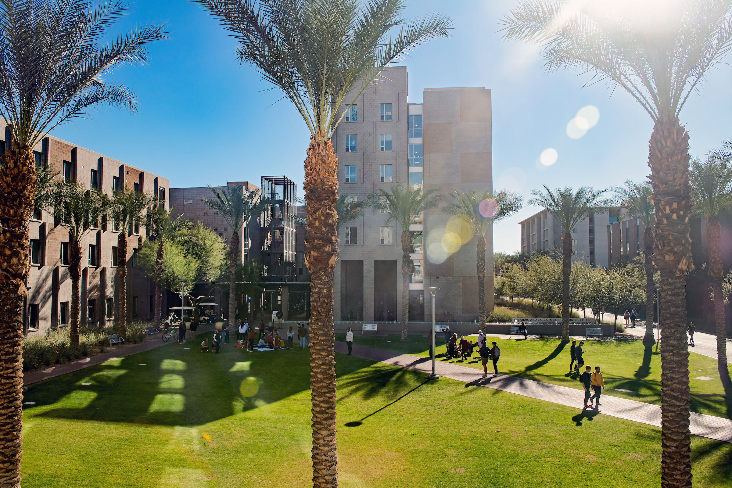 Students walking along a grassy courtyard in front of a college residential building with palm trees in the foreground