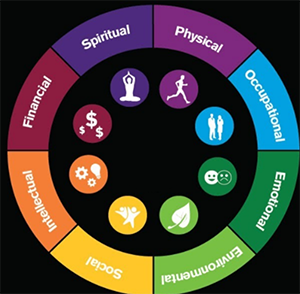 8 dimensions of wellness on a color wheel