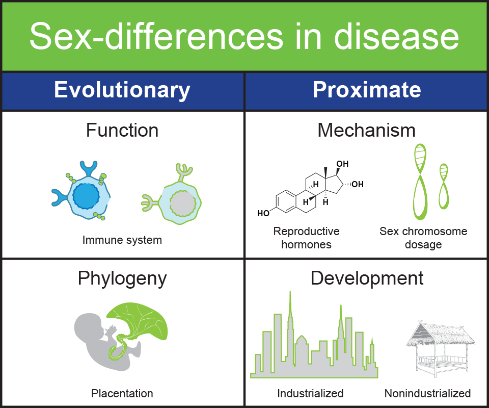 graphic on sex differences
