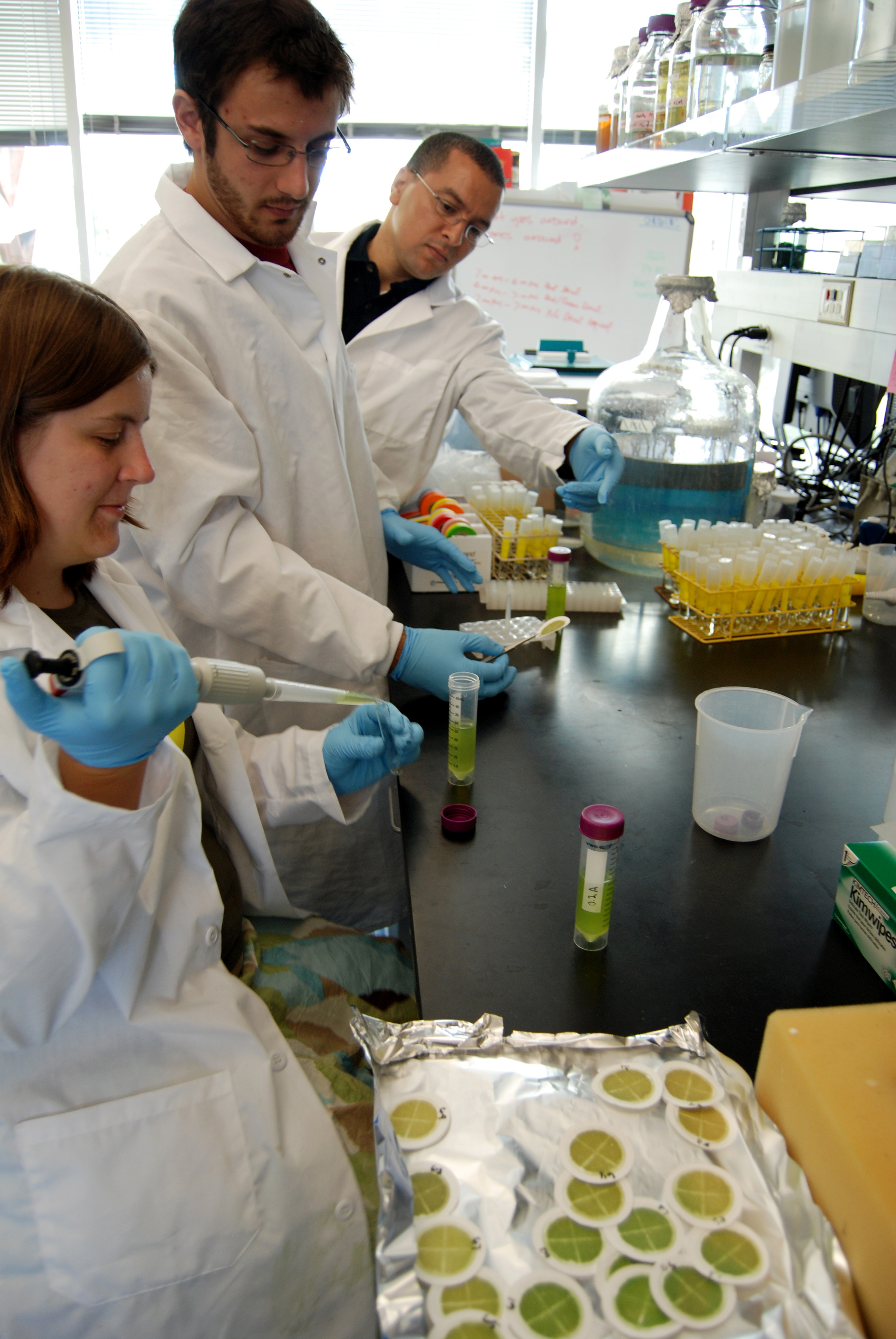 Regents answers image