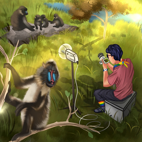 illustration of person in field studying primates