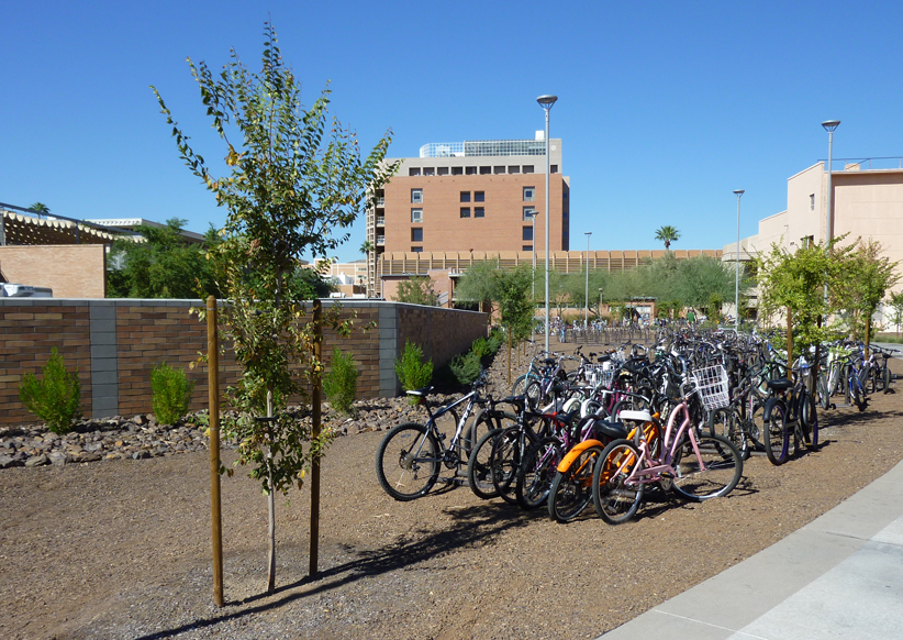 Tempe campus bicycle racks promote safety, preserve landscaping ASU News