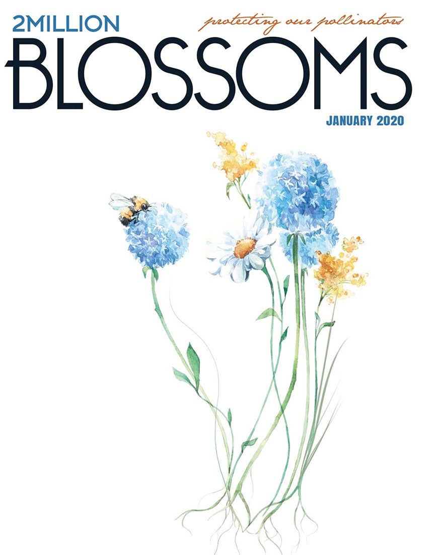 magazine cover for 2 Million Blossoms with illustration of flowers and bee on it