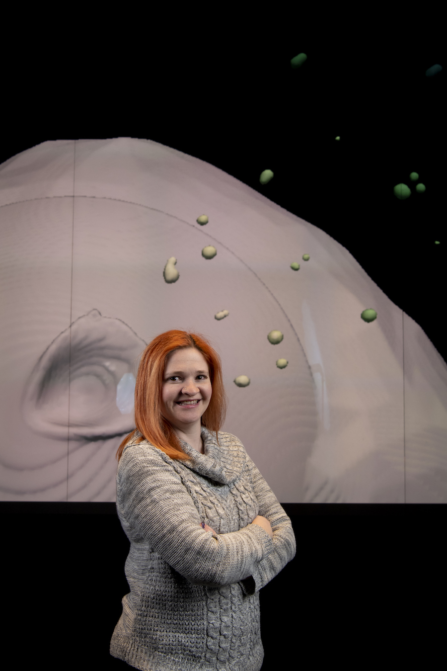 ASU math alumna models high-velocity impact for NASA's DART mission