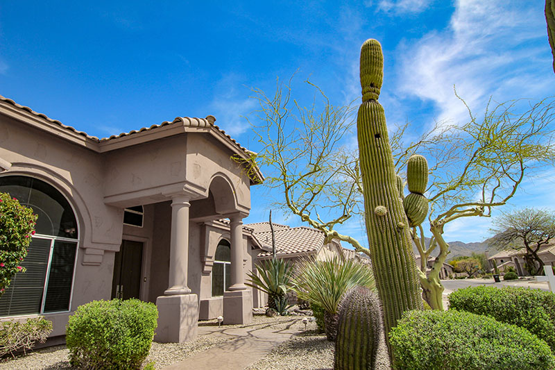 A stucco house on a gravel landscape with saguaro cactus and other desert plants