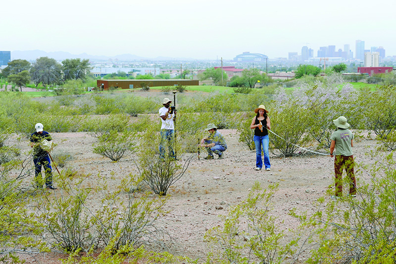Five scientists use instruments to make measurements in a patch of desert just outside Phoenix