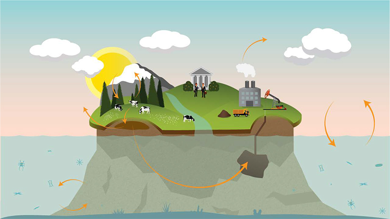 illustration of carbon cycling through air, ocean, plants and earth