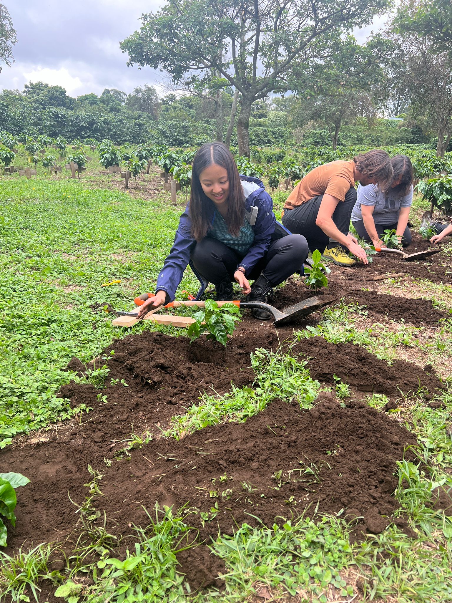 You haven't had Costa Rica coffee until you've tried this 