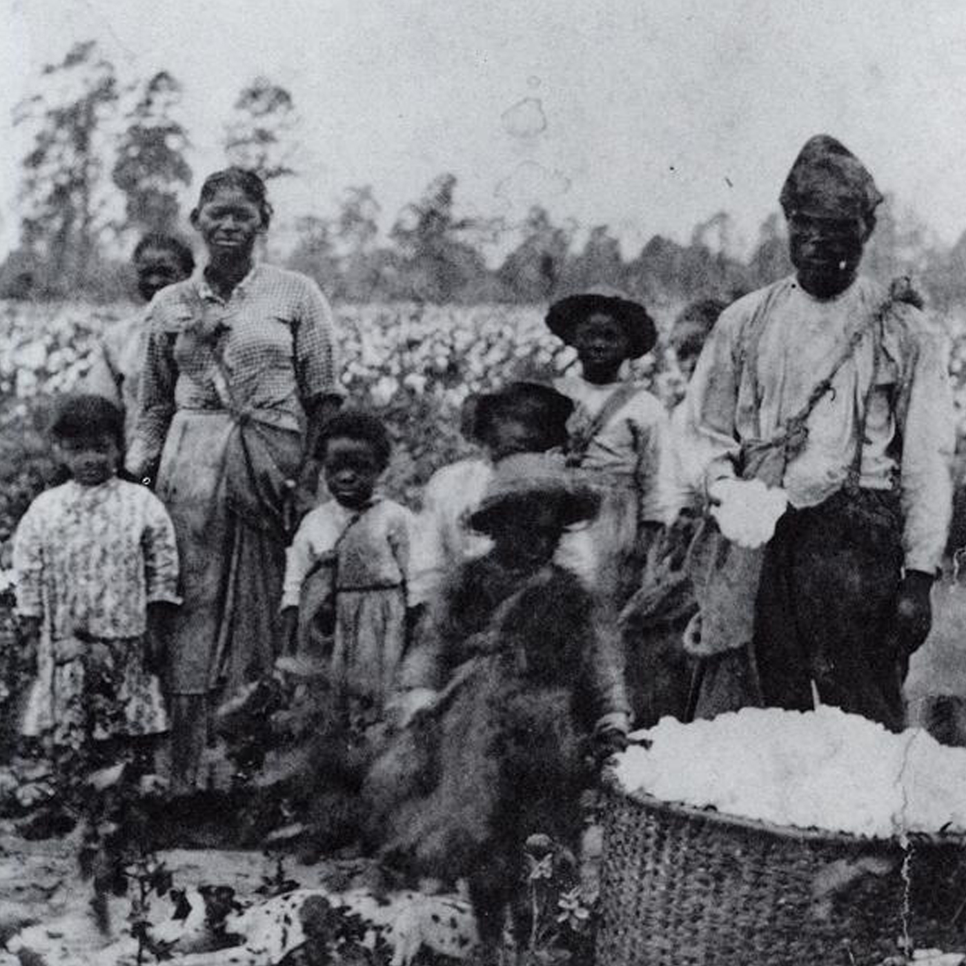 historical image of black slaves in a field