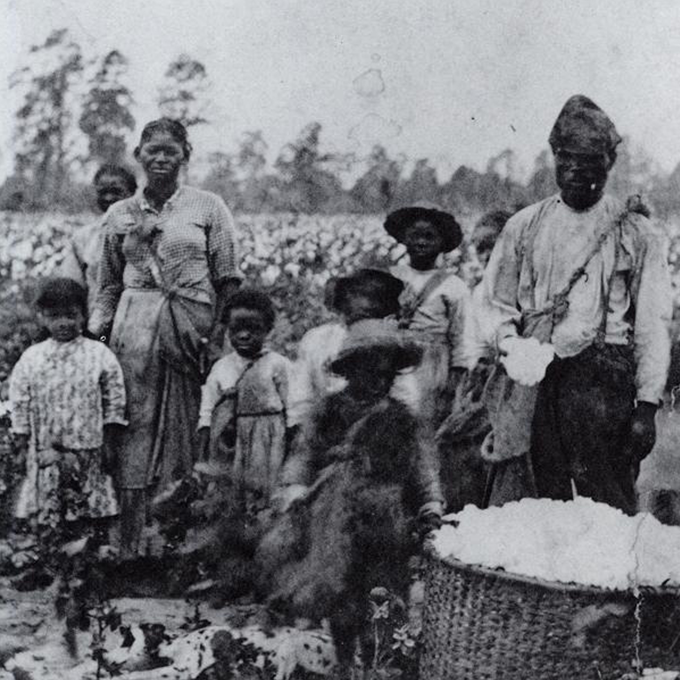 How America Was Built On Slavery Those Roots Can Still Be Felt Today 