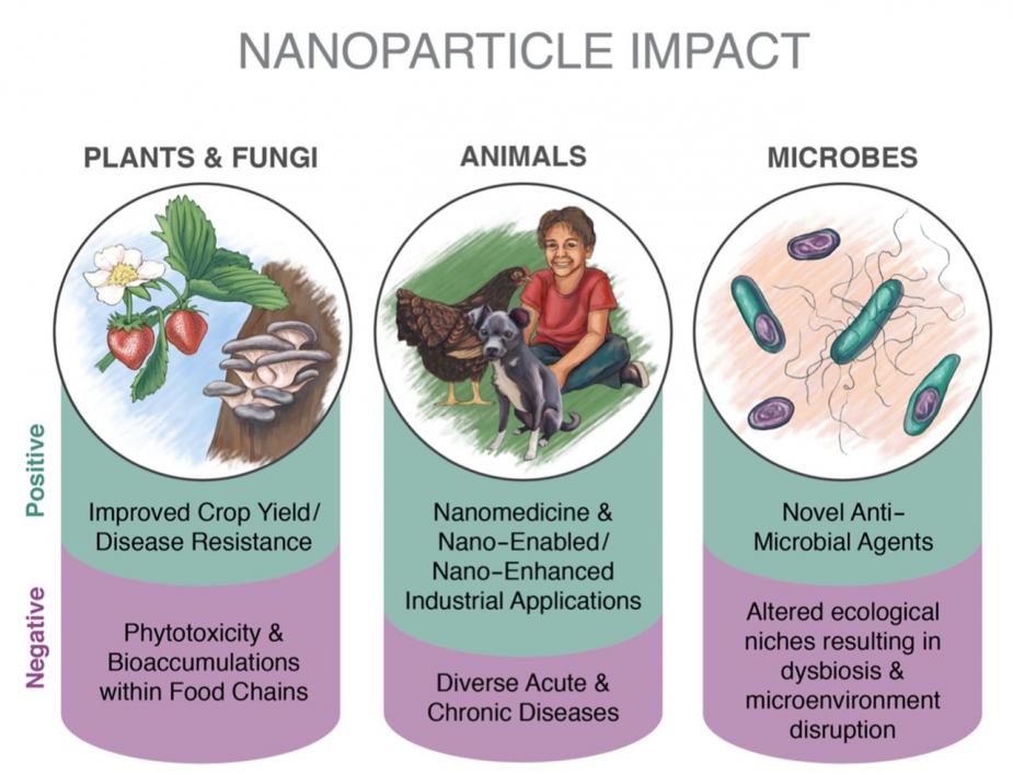Nanoparticle Impact