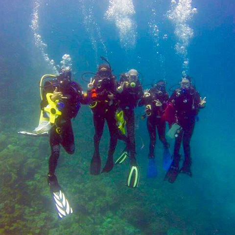 People in scuba gear under water.