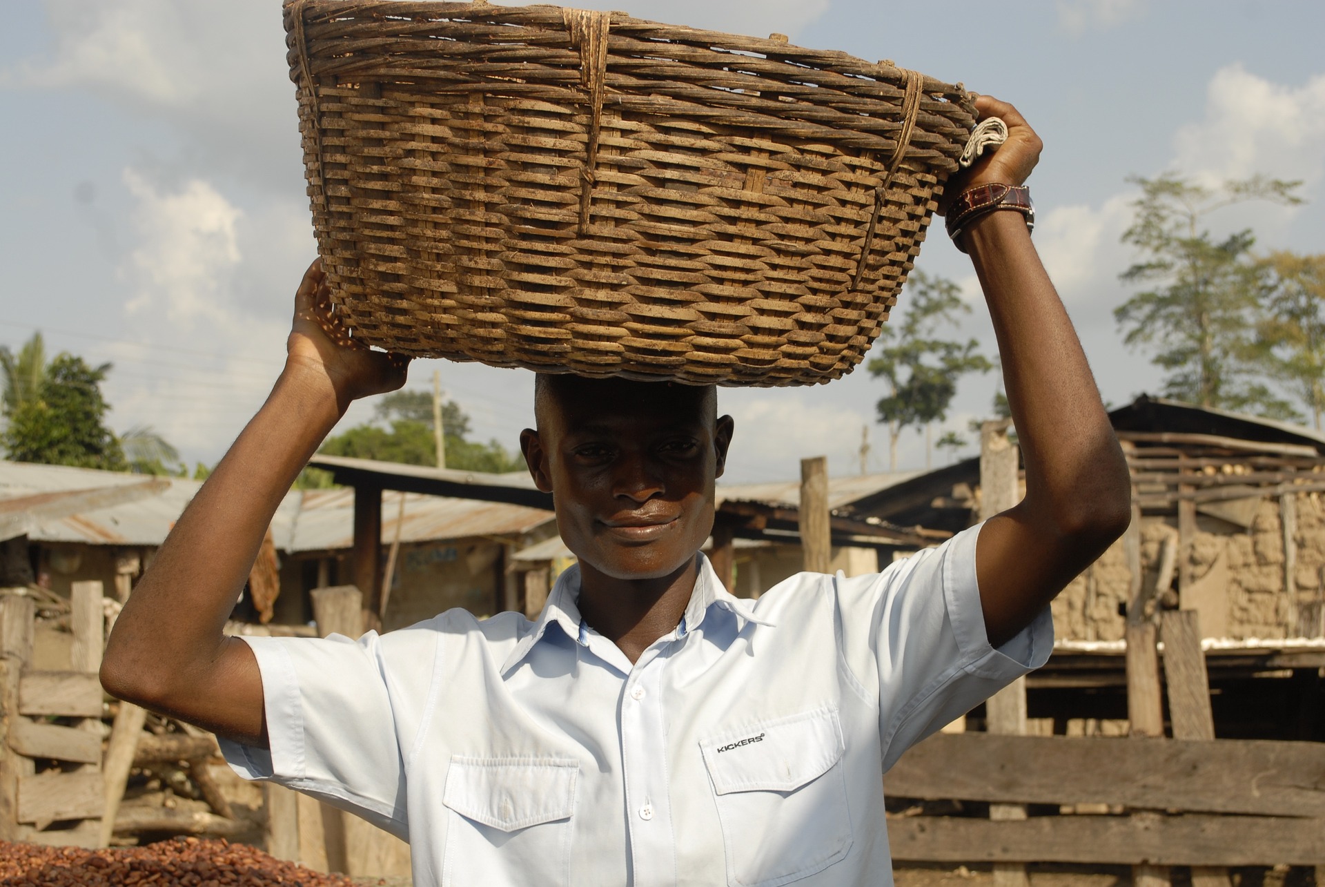 Totora Storage Basket | Large | Tan - The Citizenry