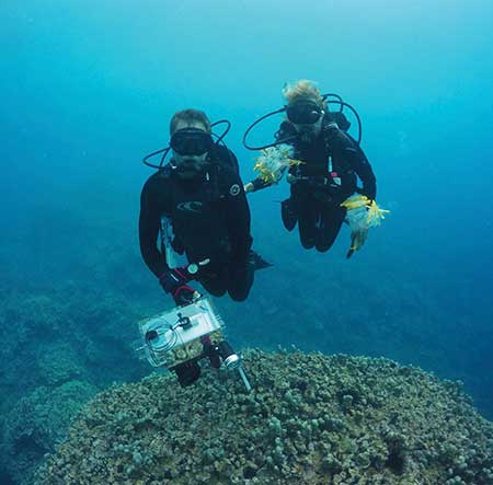 A man and a woman scuba diving near a coral reef