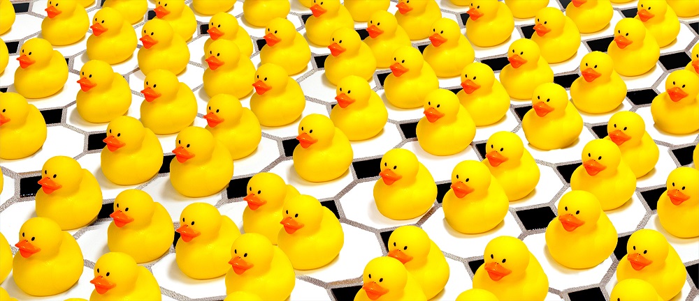Yellow rubber ducks in a row.