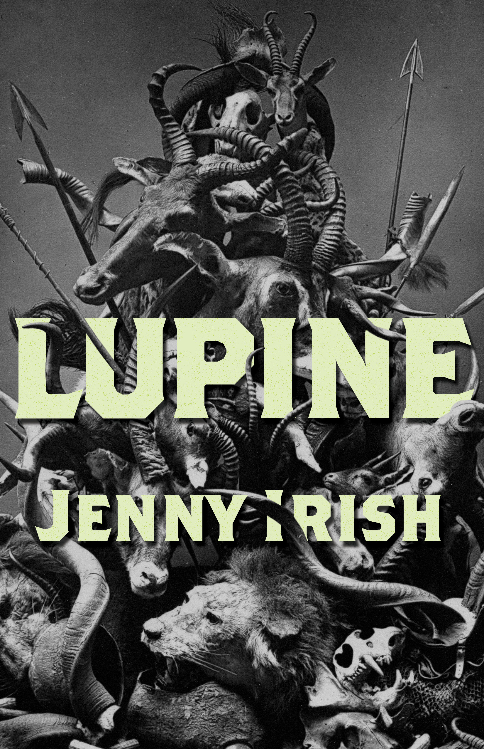 Jenny Irish's new book, Lupine, comes out in March