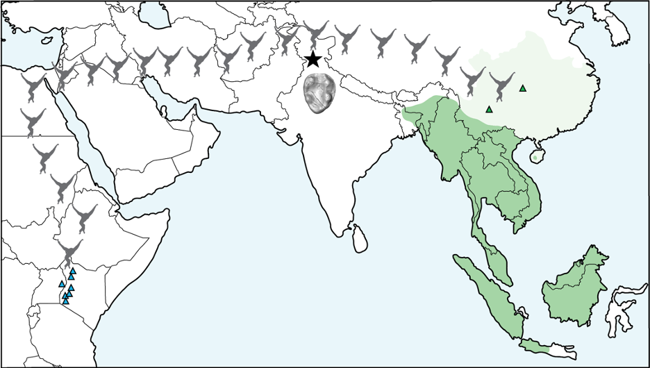 map_of_gibbon_migration