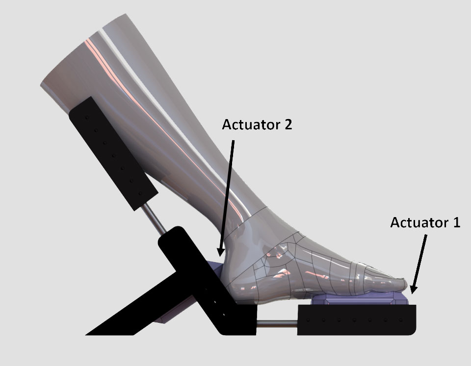 An ankle and lower leg rests on a slanted L-shaped device for plantar flexion