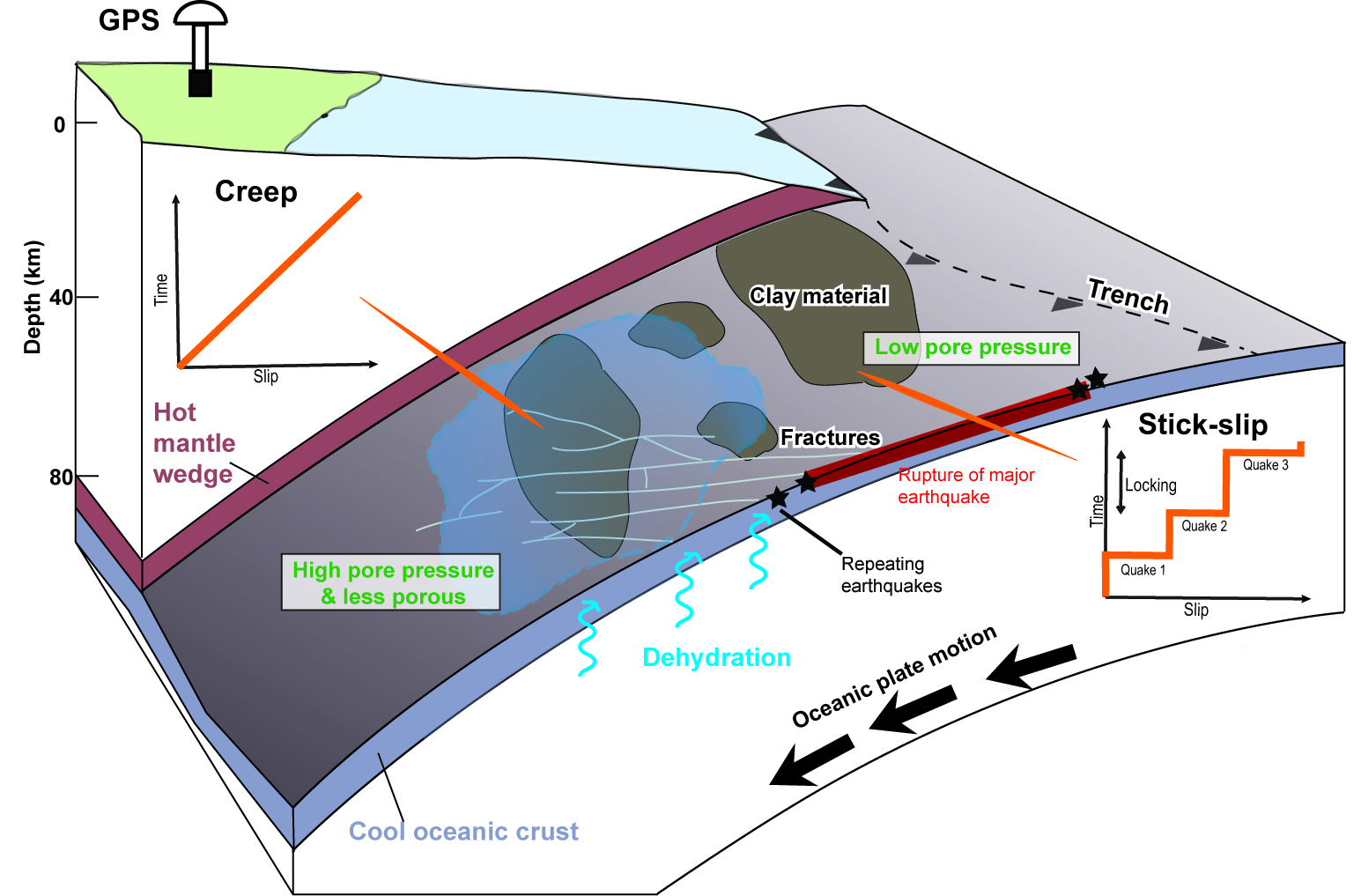 A conceptual model of the creep mechanism in northeast Japan