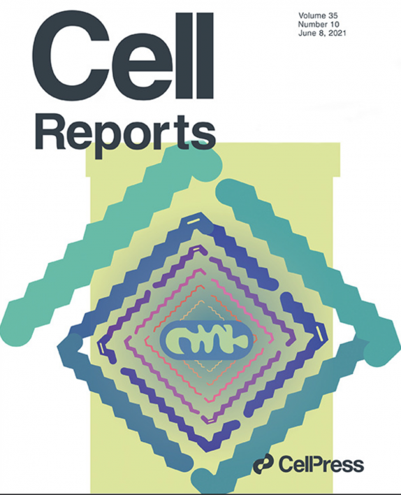 ASU research featured on the cover of the journal Cell Reports