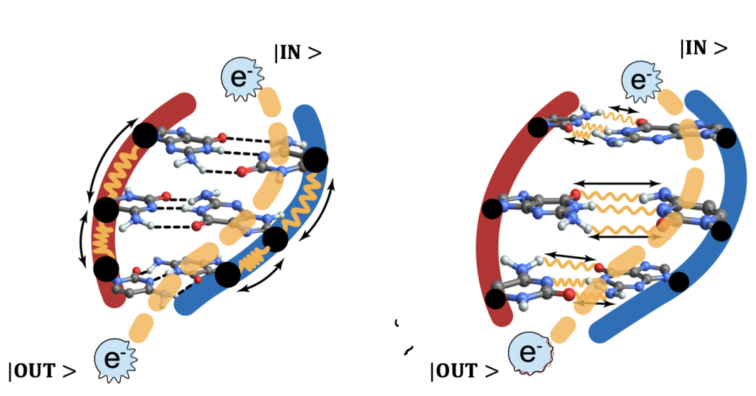 Illustration of the electron transfer process.