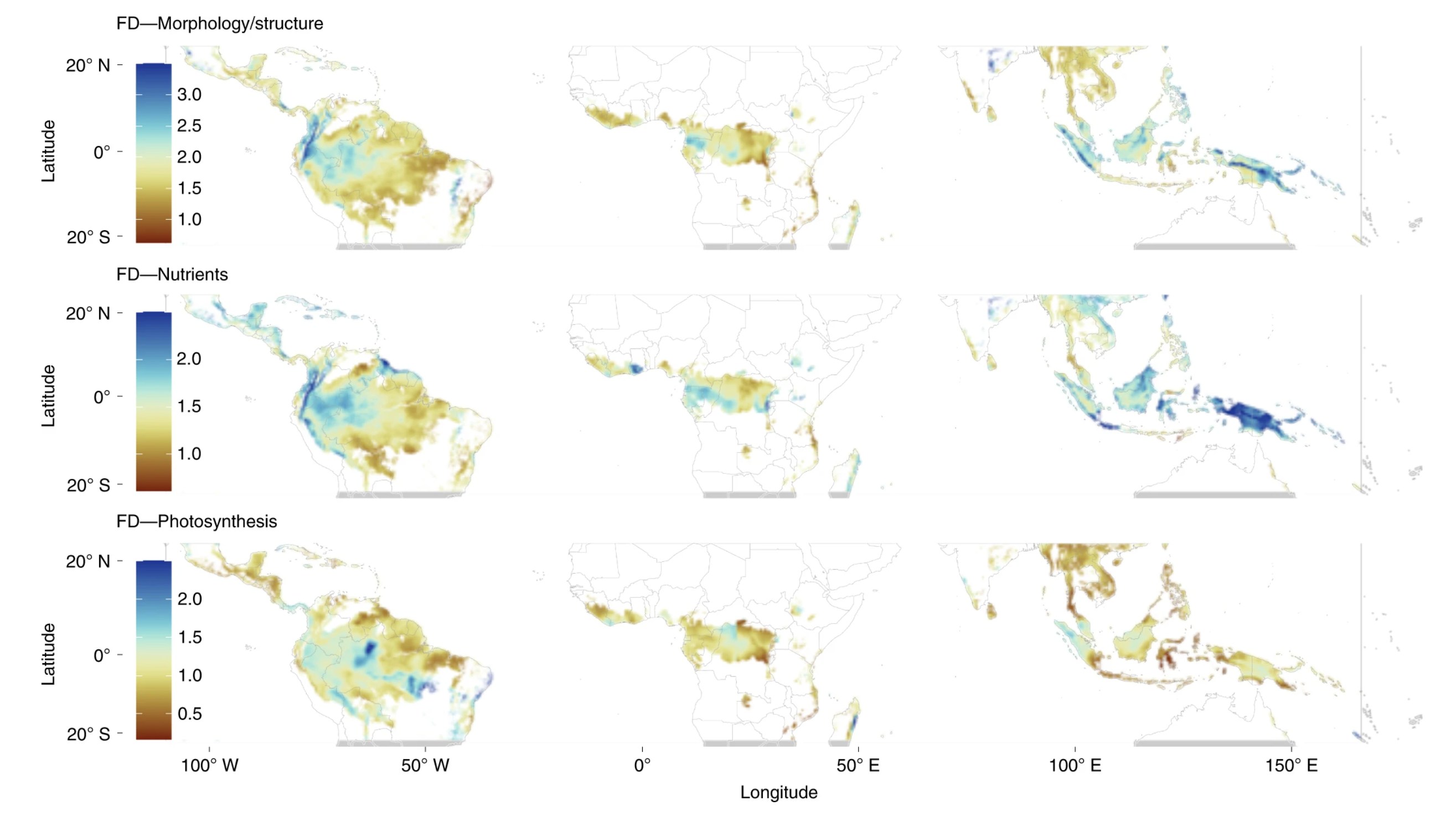 Previsões globais de diversidade funcional em florestas tropicais e subtropicais, secas e úmidas de folhas largas