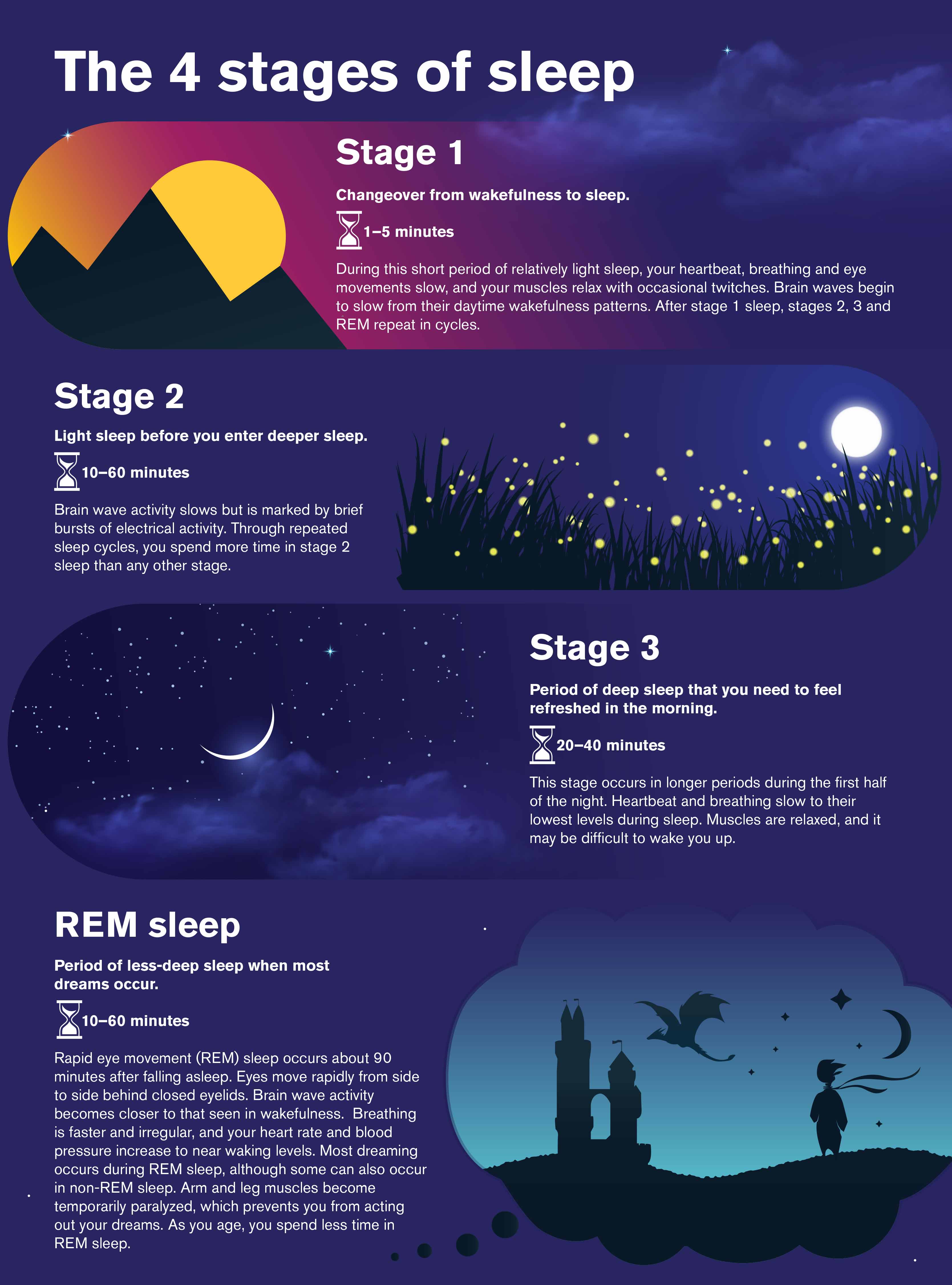 Illustration and text on 4 stages of sleep. Stage 1, changeover from wakefulness to sleep. Stage 2, light sleep before you enter deeper sleep. Stage 3, period of deep sleep that you need to feel rested. REM sleep, period of less-deep when you dream. sle