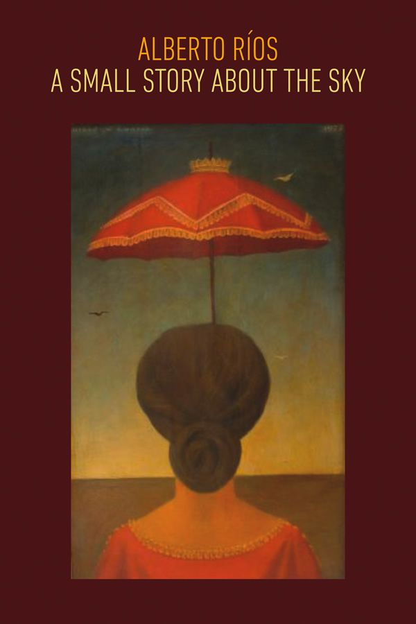 cover for book of poems with a woman under an umbrella