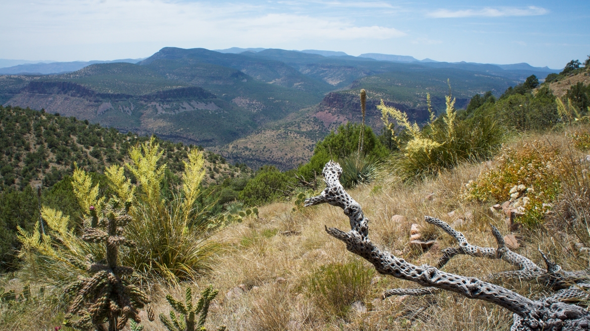 White Mountain Apache tribal land near where the meteorite strewn field was found.