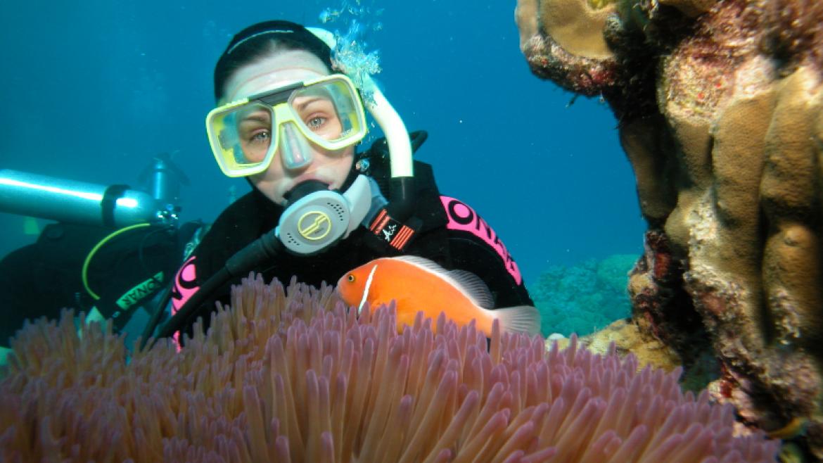 A scuba diver in the Great Barrier Reef