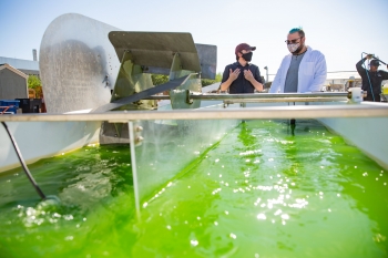 Two men standing next to a tank filled with green algea.
