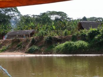photo of Tsimane house seen from river