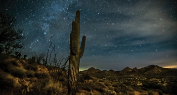 A saguaro cactus reaches up toward a starry night sky