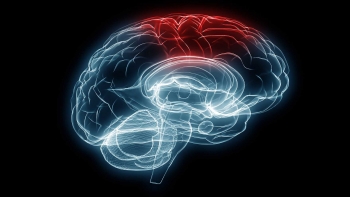 A graphic of a brain illustrating traumatic brain injury.