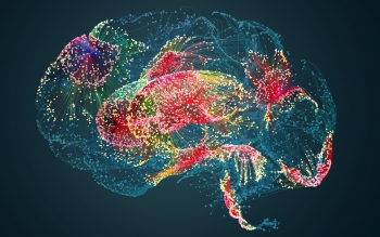 Graphic illustration of a human brain.