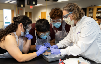 Students wearing goggles and gloves gathered around a tray with a sheep's heart as an instructor wearing a white lab coat shows them how to dissect it.