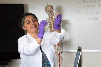 ASU Polytechnic campus faculty member Emel Topal pointing out a brain structure with model human skeleton in backdrop