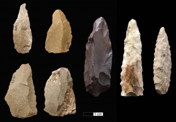Lithic stone tools