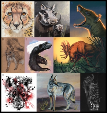 Artistic renderings of March Mammal Madness animals.