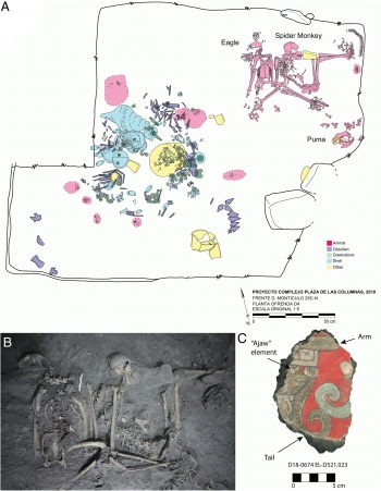 A collection of images shows a map and scan of the animal remains found.