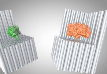 Enzyme nanocages illustration