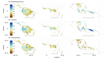 Chart with illustrations depicting global predictions of functional diversity across tropical and subtropical, dry and moist broadleaf forests.