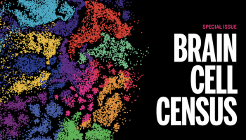 Abstract illustration of multi-colored shapes with the words "brain cell census."