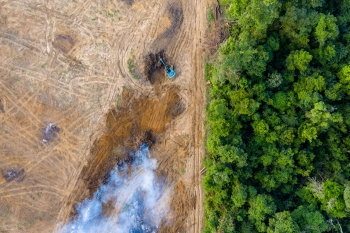 Aerial view of the Amazon rainforest, one half in good condition with green trees, and the other half has been cleared completely, leaving only dirt and smoke.