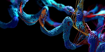 Graphic illustration of a close-up view of proteins' structure, represented as several blue coils with string-like strands of various colors wrapping around them.